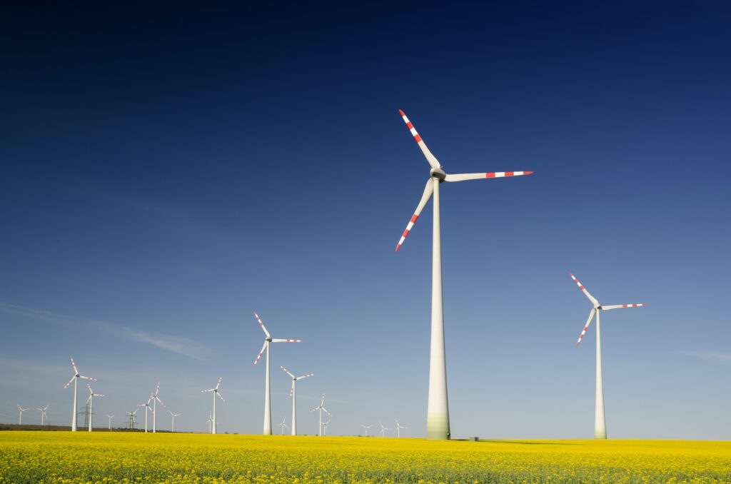 List of 3 wind farm developers in Denmark